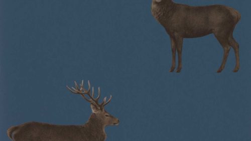 Evesham Deer 216620